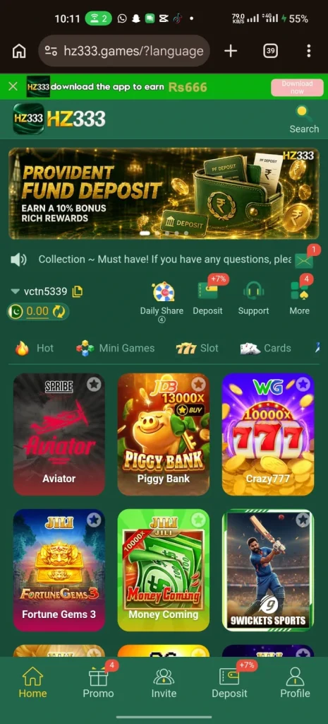HZ333 Game