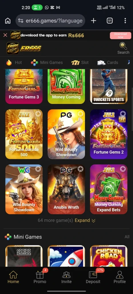 ER666 Game